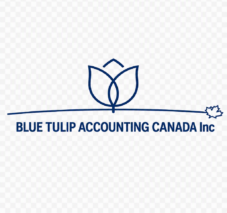Blue Tulip Accounting Canada Inc.